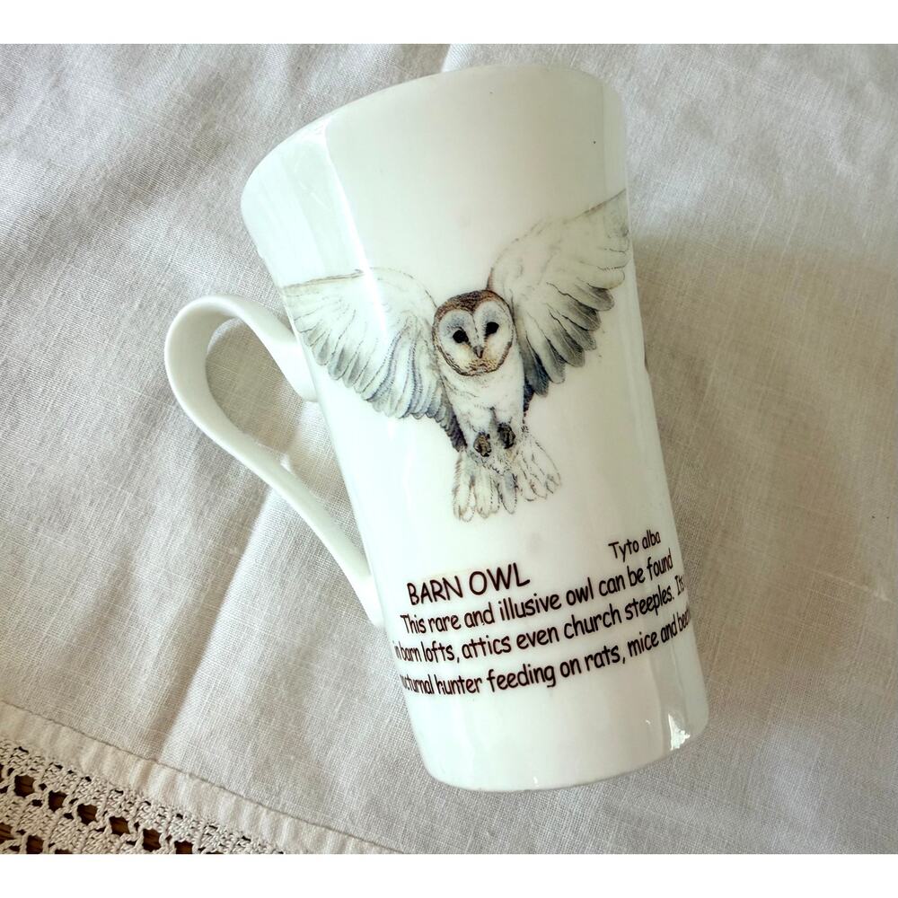 Roy Kirkham Owls Barn Owl Fine Bone China Mug Made in England Nature Gift - Picture 3 of 5